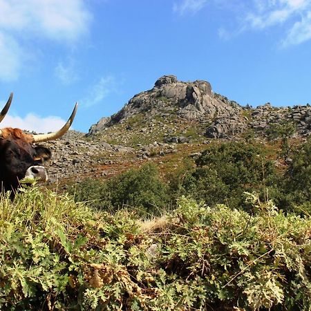 Beirais Do Alvao Villa Vila Real Buitenkant foto